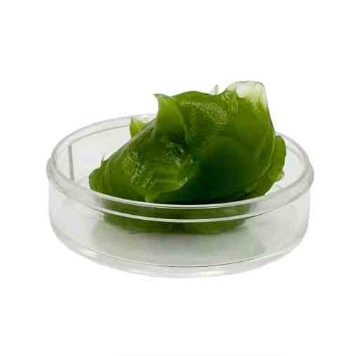润滑脂